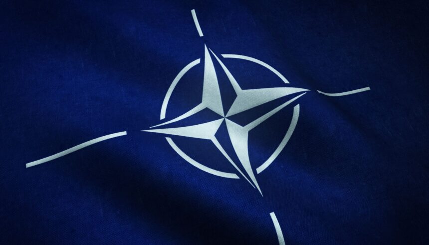 vstup do nato