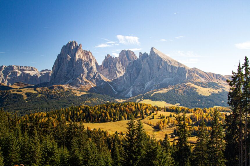 nature